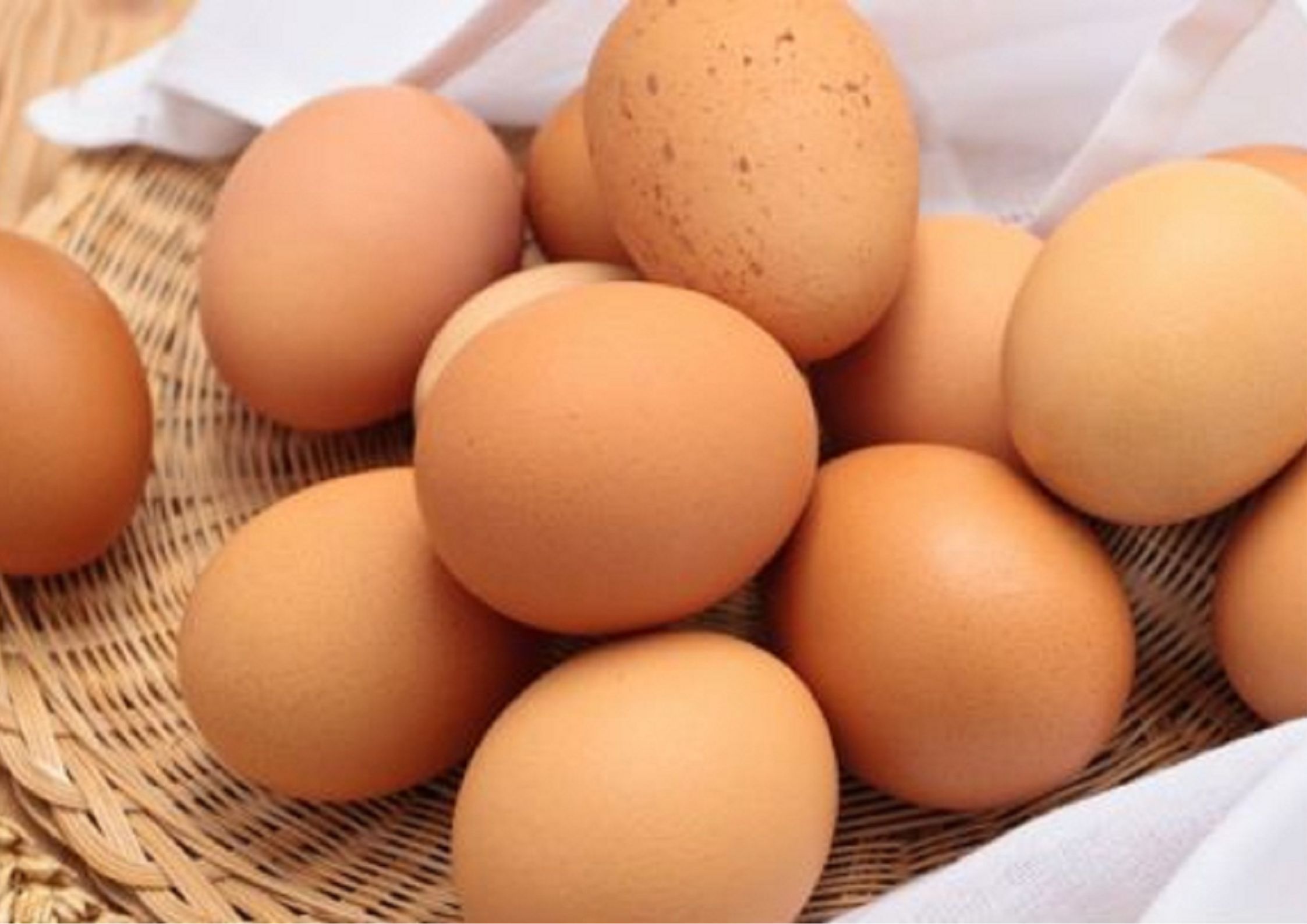 『卵』カロリー的にもコレステロール的にも積極的に摂るのがオススメです！page-visual 『卵』カロリー的にもコレステロール的にも積極的に摂るのがオススメです！ビジュアル